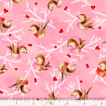 Load image into Gallery viewer, End of Bolt - Gnome for the Holidays - Birdie Toss - Pink - 23"