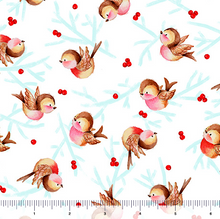 Load image into Gallery viewer, QT Fabrics - Gnome for the Holidays - Birdie Toss - White - 1/2 YARD CUT