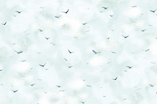 Load image into Gallery viewer, P&B Textiles - Misty Vista Birds in the Sky - 1/2 YARD CUT