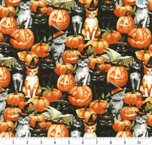 Load image into Gallery viewer, Wilmington Prints - Spooky Tails - Cats & Pumpkins - 1/2 YARD CUT