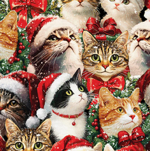 Load image into Gallery viewer, Benartex - Merry Cats - Portraits - 1/2 YARD CUT