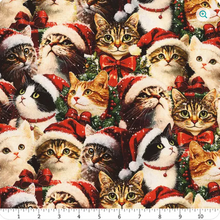 Load image into Gallery viewer, Benartex - Merry Cats - Portraits - 1/2 YARD CUT