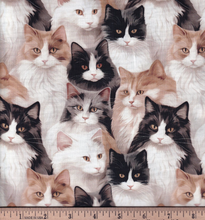 Load image into Gallery viewer, Camelot - Paw & Whisker - Not A-mew-sed - 1/2 YARD CUT