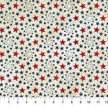 Load image into Gallery viewer, Northcott - Stonehenge Stars & Stripes 14 - Pinwheel Stars - 1/2 YARD CUT
