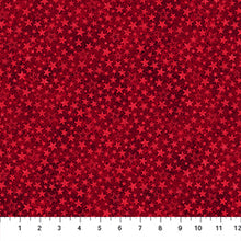 Load image into Gallery viewer, Northcott - Stonehenge Stars & Stripes 14 - Tonal Stars Red - 1/2 YARD CUT