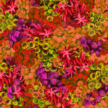 Load image into Gallery viewer, QT Fabrics - Treasures at Sea - Coral Red - 1/2 YARD CUT