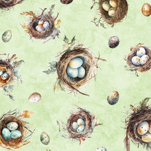 Load image into Gallery viewer, QT Fabrics - Birdsong - Bird Nest & Eggs - 1/2 YARD CUT
