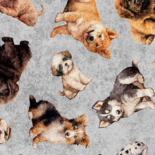 Load image into Gallery viewer, QT Fabrics - QT Cuties 2 - Puppy Toss - 1/2 YARD CUT