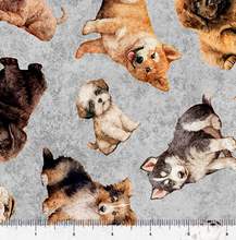 Load image into Gallery viewer, QT Fabrics - QT Cuties 2 - Puppy Toss - 1/2 YARD CUT
