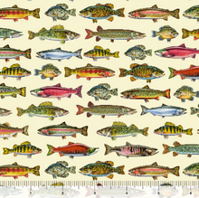 Load image into Gallery viewer, QT Fabrics - The Lure of Fishing - Fish Set - Buttercream - 1/2 YARD CUT
