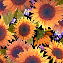 Load image into Gallery viewer, QT Fabrics - Mountains Are Calling - Sunflowers - Black - 1/2 YARD CUT