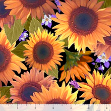Load image into Gallery viewer, QT Fabrics - Mountains Are Calling - Sunflowers - Black - 1/2 YARD CUT
