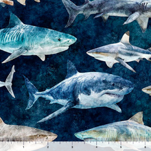 Load image into Gallery viewer, QT Fabrics - Into the Deep - Sharks - Mediterranean - 1/2 YARD CUT
