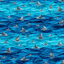 Load image into Gallery viewer, QT Fabrics - Into the Deep - Shark Fins - 1/2 YARD CUT