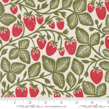 Load image into Gallery viewer, Moda Fabrics - Garden Series - Strawberry - 1/2 YARD CUT