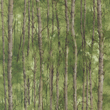 Load image into Gallery viewer, Moda Fabrics - Wild Blue Yonder - Birch Grove - 1/2 YARD CUT