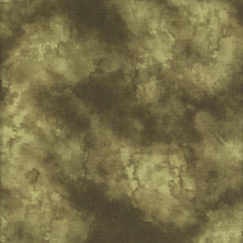 Load image into Gallery viewer, Wilmington Prints - Sunkissed - Texture Green - 1/2 YARD CUT
