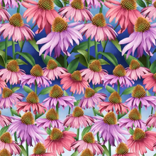 Load image into Gallery viewer, Henry Glass & Co Fabrics - Blissful Blooms - Echinacea - 1/2 YARD CUT