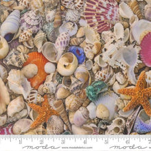 Load image into Gallery viewer, Moda Fabrics - Saltwater - Shells - 1/2 YARD CUT