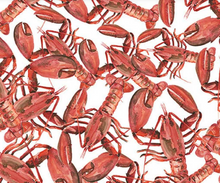 Load image into Gallery viewer, Blank Quilting - Seaside Boil - Lobster Allover - 1/2 YARD CUT