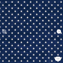 Load image into Gallery viewer, Windham Fabrics - American Tribute - Star-Spangled Navy - 1/2 YARD CUT