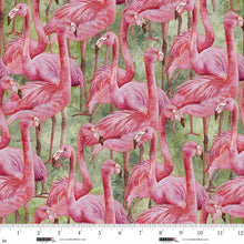 Load image into Gallery viewer, Studio E - Flamingo Fling - Flamingo Crowd - 1/2 YARD CUT