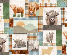 Load image into Gallery viewer, Studio E - Highlander - Patchwork - 1/2 YARD CUT