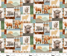 Load image into Gallery viewer, Studio E - Highlander - Patchwork - 1/2 YARD CUT