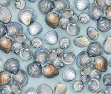 Load image into Gallery viewer, Studio E - Drop in the Ocean - Clambake - 1/2 YARD CUT