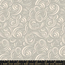 Load image into Gallery viewer, Ruby Star Society - Fireglow - Smoke - Oyster - 1/2 YARD CUT