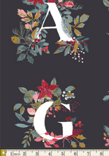Load image into Gallery viewer, Art Gallery Fabrics - Aventale - Jingle All the Letters - PANEL