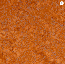 Load image into Gallery viewer, Elementals Batiks by Riley Blake Fabrics - Pumpkin - 1/2 YARD CUT
