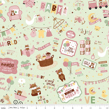 Load image into Gallery viewer, Riley Blake - Baby Girl - Main Mint - 1/2 YARD CUT