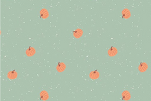 Load image into Gallery viewer, Riley Blake - The Apothecary - Pumpkin Toss - Mint - 1/2 YARD CUT