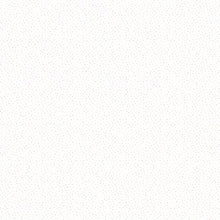 Load image into Gallery viewer, Poppie Cotton - Country Confetti - Pale Moon White - 1/2 YARD CUT