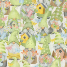 Load image into Gallery viewer, Timeless Treasures - Gnome Grown - Spring Gnome and Bird Cage - 1/2 YARD CUT