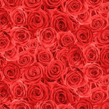 Load image into Gallery viewer, Timeless Treasures - Packed Roses - Red - 1/2 YARD CUT