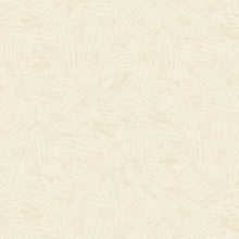 Load image into Gallery viewer, Timeless Treasures - Path to Freedom - Wavy Tonal Flags Ivory - 1/2 YARD CUT