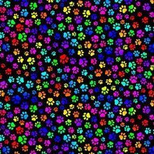 Load image into Gallery viewer, Timeless Treasures - Pupparazzi - Bright Dog Paw Prints - 1/2 YARD CUT