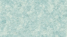 Load image into Gallery viewer, Northcott - Sea Breeze - Coral Blender Seafoam - 1/2 YARD CUT