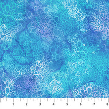 Load image into Gallery viewer, Northcott - Coral Reef - Bubbles Blue - 1/2 YARD CUT
