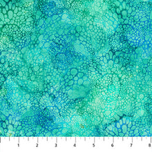 Load image into Gallery viewer, Northcott - Coral Reef - Bubbles Turquoise - 1/2 YARD CUT