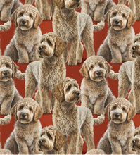 Load image into Gallery viewer, David Textiles - Labradoodle Red - 1/2 YARD CUT