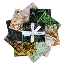 Load image into Gallery viewer, Riley Blake - Expressions Batiks - Places You'll Go - Canyon Drive - Fat Quarter Bundle