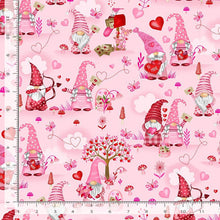 Load image into Gallery viewer, Timeless Treasures - Gnome One Like You - Valentine Gnomes - 1/2 YARD CUT