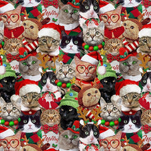 Load image into Gallery viewer, Timeless Treasures - Christmas Cheer - Packed Holiday Cats - 1/2 YARD CUT