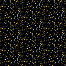 Load image into Gallery viewer, Timeless Treasures - Winter Rose - Black Metallic Stars - 1/2 YARD CUT