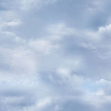 Load image into Gallery viewer, Timeless Treasures - Misty Mountain Clouds - 1/2 YARD CUT