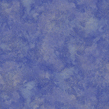 Load image into Gallery viewer, Timeless Treasures - Shimmer - Twilight - 1/2 YARD CUT