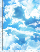 Load image into Gallery viewer, Timeless Treasures - Sunflower Sunset - Clouds in Sky - 1/2 YARD CUT